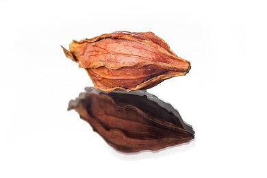 独立恐怖游戏《铁肺》涨价 制作者建议反对者“去玩盗版”